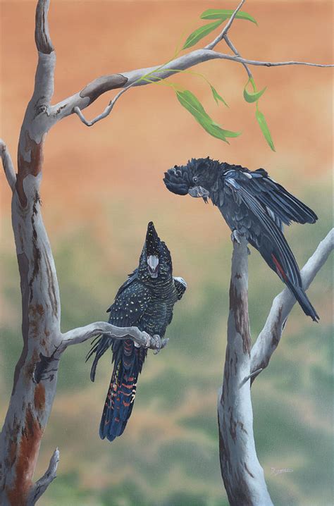 Red-Tailed Black Cockatoos Painting by Dario Zanesco