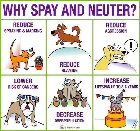 No Cost Spay/Neuter Services | Fort Bend County