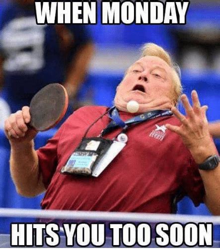 75+ Funny Monday Memes for the Week | Funny monday memes, Monday humor, Monday memes