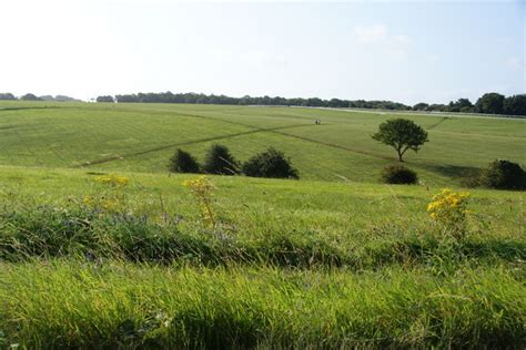 Epsom Downs © Bill Boaden :: Geograph Britain and Ireland