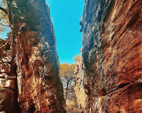 Head to Mineral Wells State Park for 3,000 Acres of Hiking, Horse Back ...