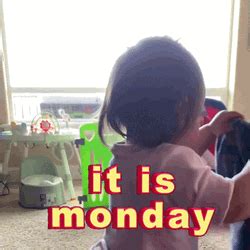 Funny Monday GIFs | GIFDB.com