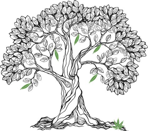 Bodhi Tree Drawing at GetDrawings | Free download