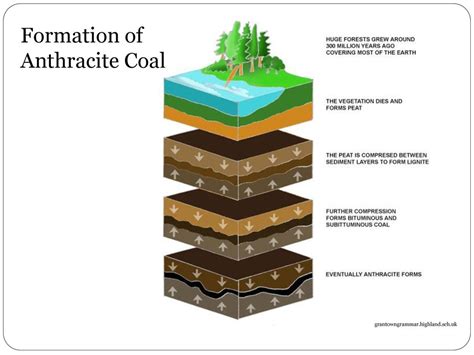 Anthracite Coal in the Lower Susquehanna Valley - ppt download