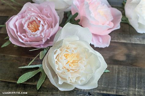 DIY Crepe Paper Peonies