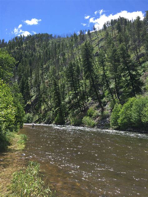 Rock Creek Montana. | Dream water, Fly fishing, Beautiful landscapes