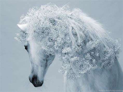 Winter Horse Wallpapers - Top Free Winter Horse Backgrounds - WallpaperAccess