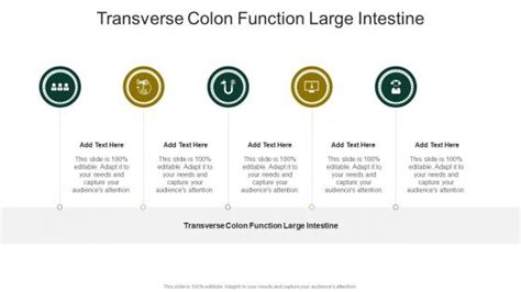 Transverse Colon Function Large Intestine PowerPoint Presentation and Slides | SlideTeam