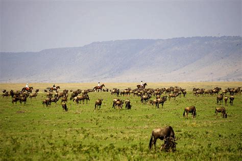 Top 6 Horseback Safaris in Africa | Africa Travel