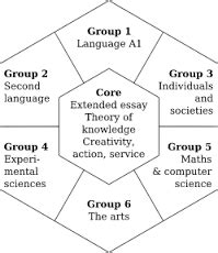 What Is the IB Curriculum? What Are IB Diploma Requirements?