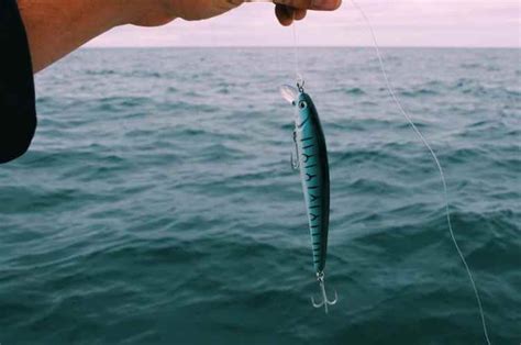 11 Best Surf Fishing Lures You Need to Try • Fishing Duo