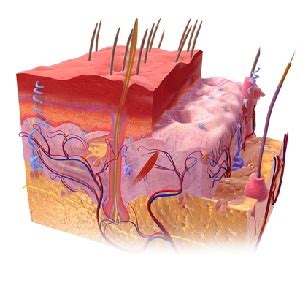 Burn Injury Stages, Classification, & Treatment - De Caro & Kaplen, LLP