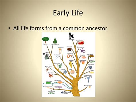 PPT - Early Earth PowerPoint Presentation, free download - ID:5728777