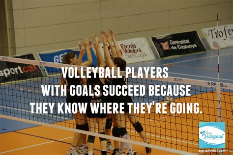 24 Motivational Volleyball Quotes and Inspirational Volleyball Images