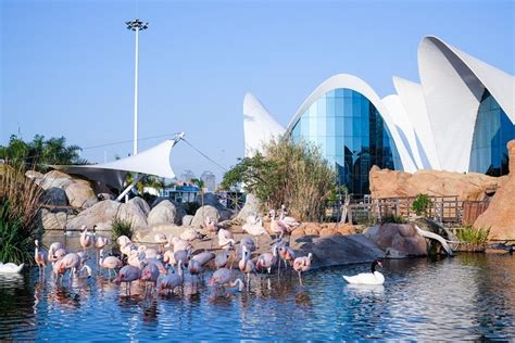 Valencia Aquarium Tickets & Hop-on Hop-off Bus Tour | Traveling in Spain