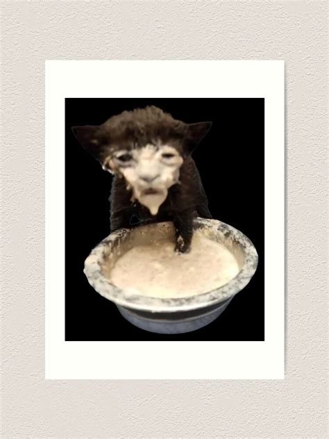 "Milk Face Cat Meme (Cursed Milk Cat)" Art Print for Sale by fomodesigns | Redbubble