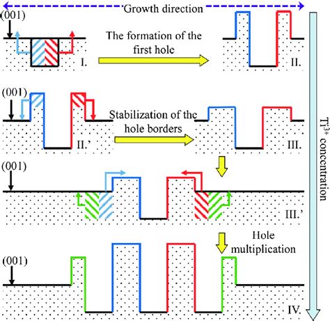 The schematic representation of the proposed hole formation mechanism ...