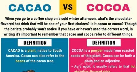 Cacao vs. Cocoa: Basic Differences between Cocoa vs. Cacao • 7ESL