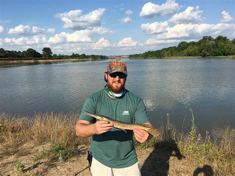 [FW], [ID] Caught in the Red River (Texas Side). What kind of Gar ...