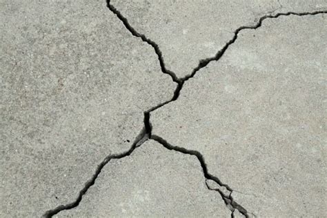 10 Best Concrete Crack Fillers for Driveways (Buyer’s Guide)