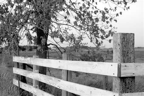 Countryside. Barn Fence. Elburn, IL. Sunset. Fall time. Black and White ...