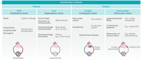 Chapter 20: Shock Flashcards | Quizlet