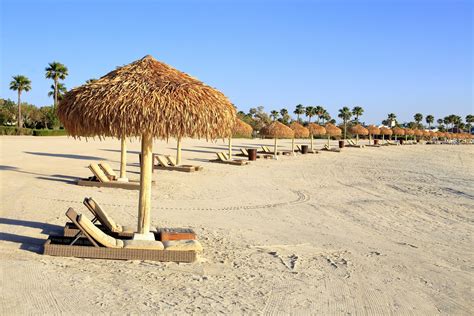 10 Free Public Beaches in Qatar (2024 List) - hapondo blog