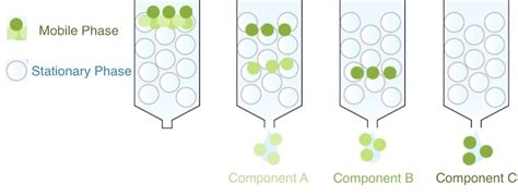 What Exactly Is Chromatography? Types and Applications - RankRed