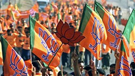 BJP reaches out to every household for votes in 2nd phase of Assam ...