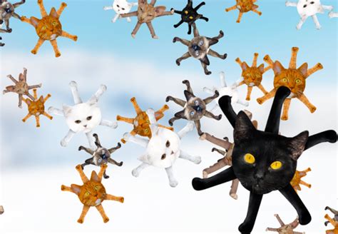 Catflakes, A Whimsical Web Page of Drifting Cat Snowflakes