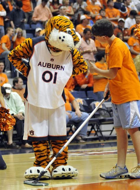 73 best Aubie images on Pinterest