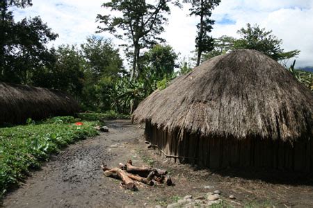 Gambar 12 Gambar Desain Rumah Adat Papua Timur Barat Honai Denah di Rebanas - Rebanas