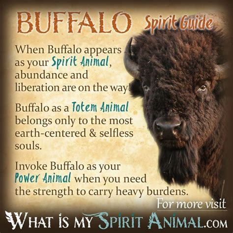 Buffalo & Bison Spirit, Totem, & Power Animal Symbolism Meaning ...