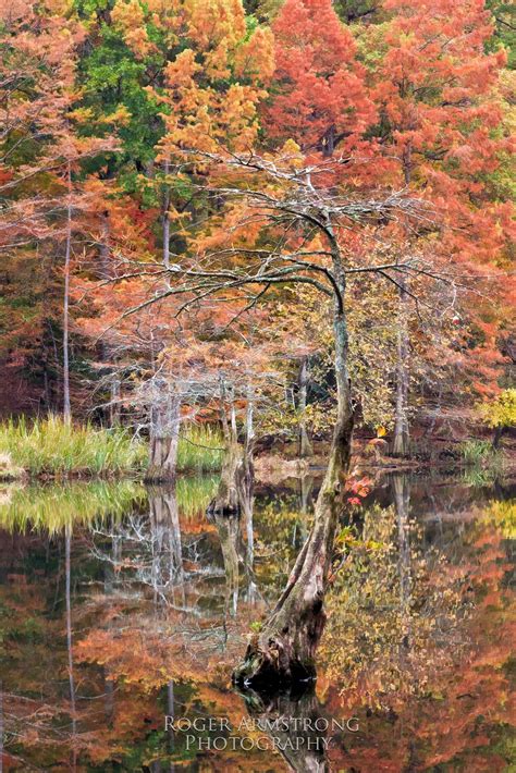 Roger Armstrong Photography: Fall Color @ Beavers Bend