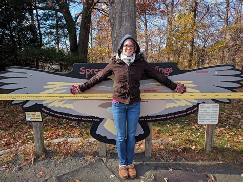 The wingspan of Andean Condor compared to a human. : r/mildlyinteresting