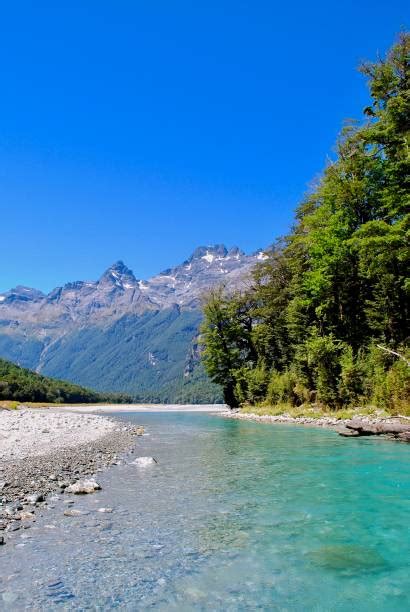 Dart River New Zealand Stock Photos, Pictures & Royalty-Free Images ...