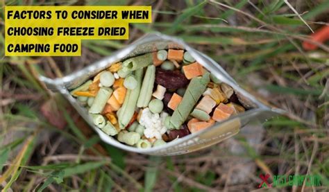 Ultimate Guide: The Best Freeze Dried Camping Food to Choose