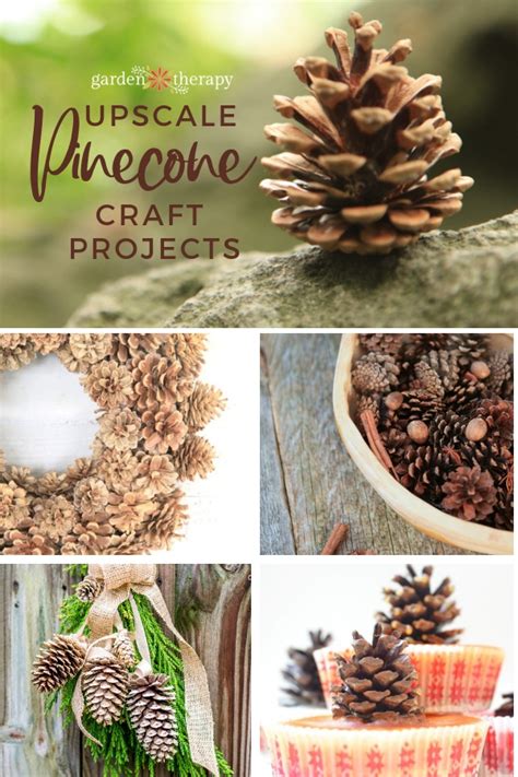 Elegant + Upscale Pinecone Crafts - Garden Therapy