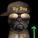 up dog Meme Generator - Imgflip