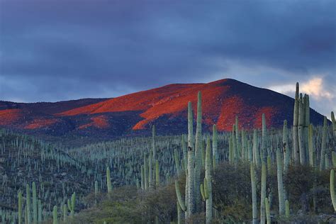 A Look at the Texas-Mexico Border Before Boundary Lines – Texas-México ...