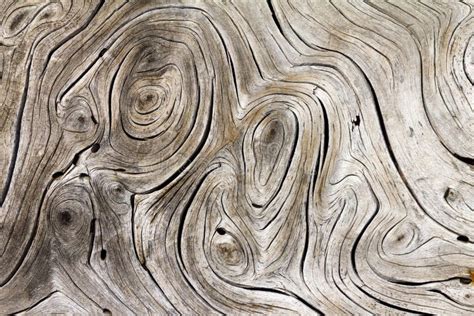 Wood Swirls Organic Background Texture Stock Image - Image of bark ...