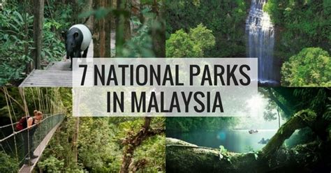 7 Malaysia National Parks (Taman Negara) | Breathtaking Natural Places