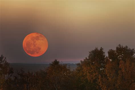 Why the Moon sometimes looks orange