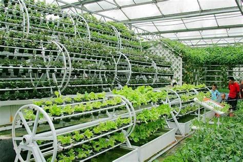 5 Secrets To Building A Successful Aquaponics System (With images) | Aquaponic gardening ...