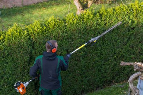 5 Best Pole Hedge Trimmers of 2023 – Long Reach Hedge Trimmer Reviews