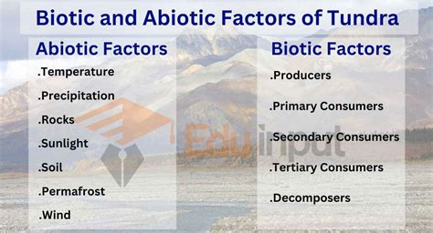 Biotic and Abiotic Factors of Tundra Ecosystem