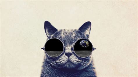 Cat with Glasses HD Wallpapers - Top Free Cat with Glasses HD Backgrounds - WallpaperAccess