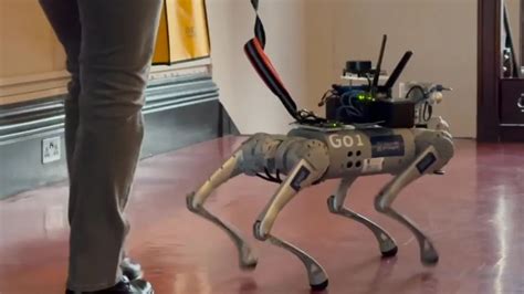 Scientists want to replace guide dogs with four-legged AI robots that ...