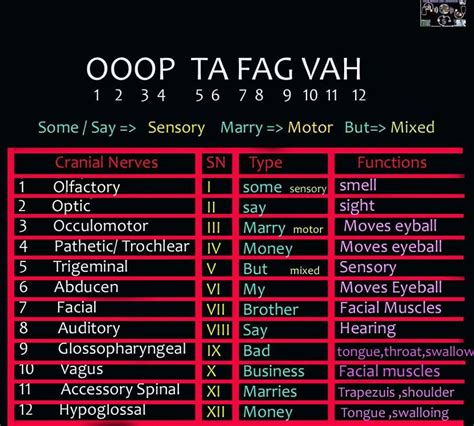 Cranial nerves and functions chart