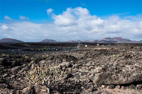 Volcanic Lanzarote Landscape. Canary Islands. Spain Stock Photo - Image of field, volcanic ...